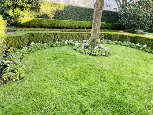 Lawn treatment application