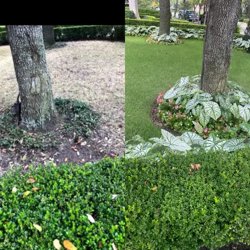 Seasonal cleanup work