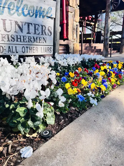 Landscaping crew working on front yard details